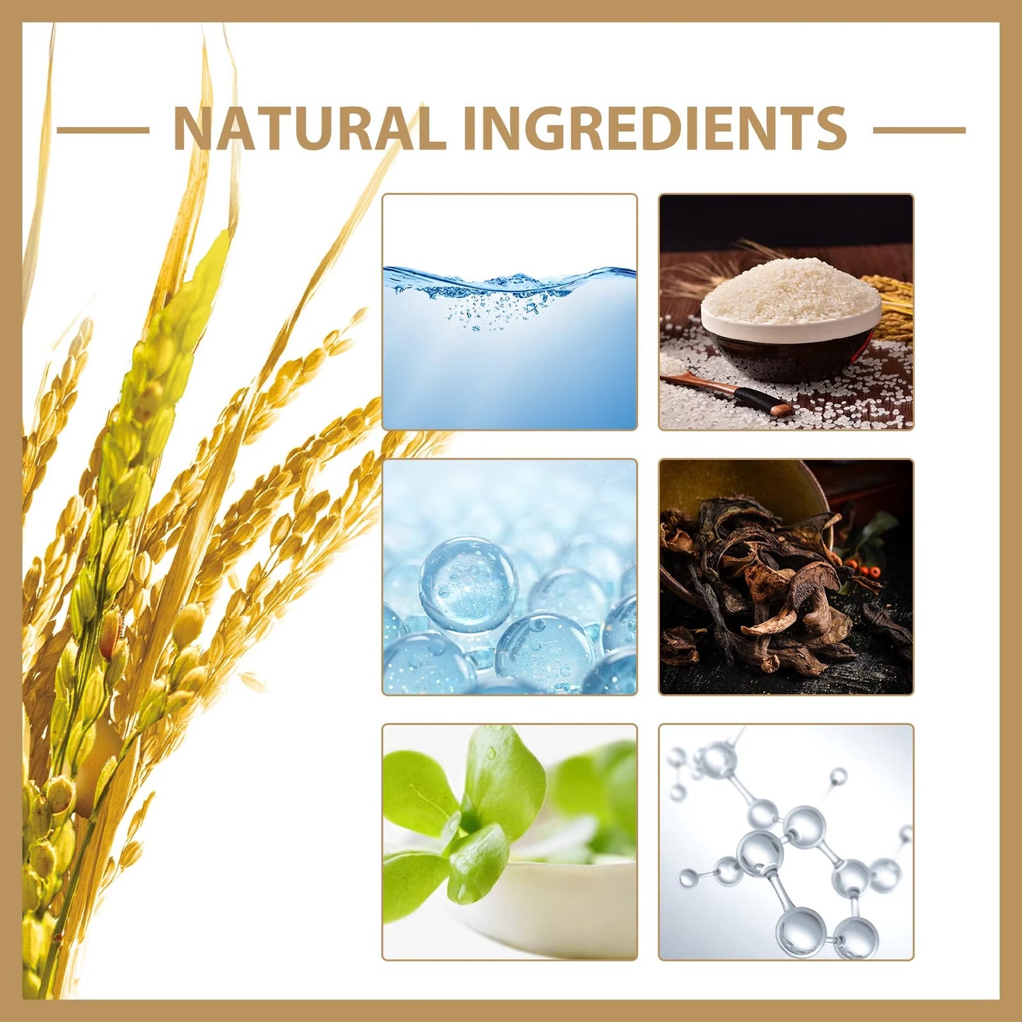 Rice Brightening Moisture Toner